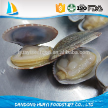 Nuestra fábrica se especializa en mariscos congelados congelados cuello corto almeja